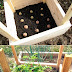 how to grow potatoes in a box #vegetable_gardening