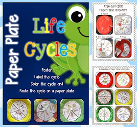 Paper Plate Life Cycles