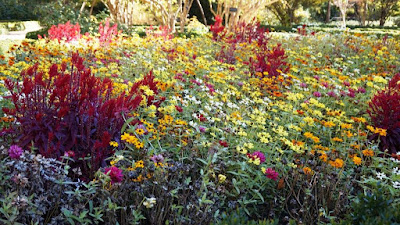 Jardín Botánico de Madrid