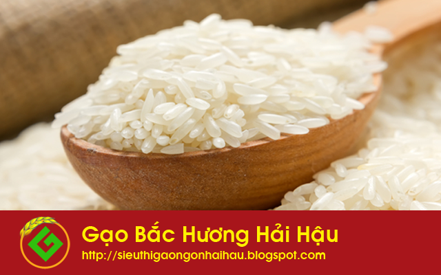 Gạo bắc hương đặc sản gạo ngon tại Hải Hậu Nam Định