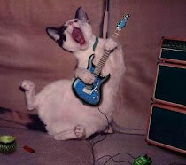 Metal Kitty says...
