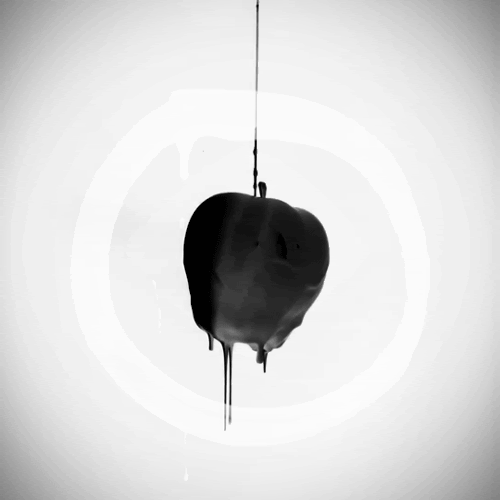 tumblr_md32qnVdZy1rf089no1_500