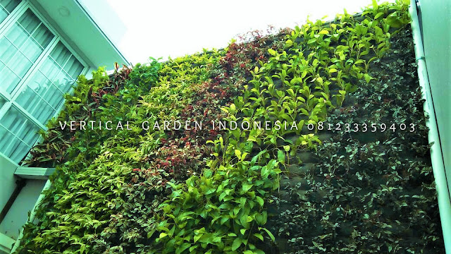 VERTICAL GARDEN INDONESIA SPESIALIS JASA PEMBUATAN VERTICAL GARDEN DI SEMARANG JAWA TENGAH DAN DI SELURUH WILAYAH JAWA TENGAH DENGAN TENAGA YANG PROFESIONAL DAN DAPAT DI PERCAYA YANG SELALU MENGUTAMAKAN SEBUAH MUTU DAN KUALITAS PEMASANGAN VERTICAL GARDEN/TAMAN DINDING, JASA TUKANG TAMAN VERTICAL SEMARANG JAWA TENGAH, JASA VERTICAL GARDEN SEMARANG JAWA TENGAH,