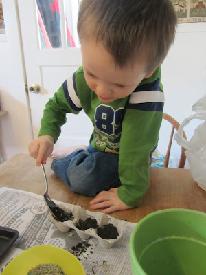 making wooly bear caterpillars