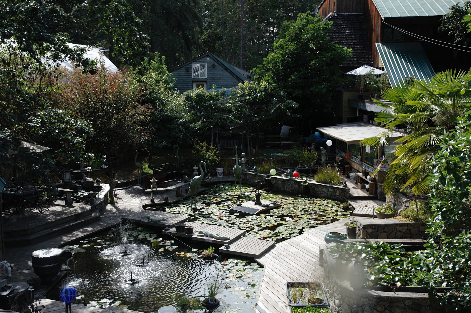 West Coast Koi Farms