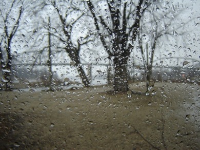 rainy-day