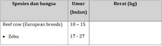 Siklus Reproduksi Hewan Ruminansia