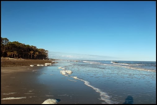 Hunting Island site 88 026