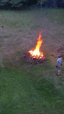 buckthorn disposal