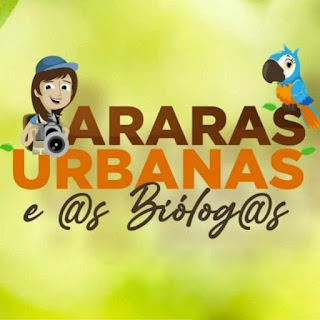 araras urbanas, arasbio, aplicativo, atobio, arara canindé, play store, Palmas, Tocantins,  ornitologia, birds, natureza