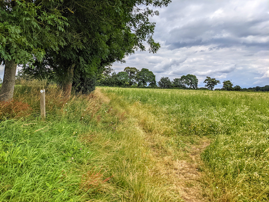 Keep right, still on Kimpton footpath 23, then cross the crop to a junction