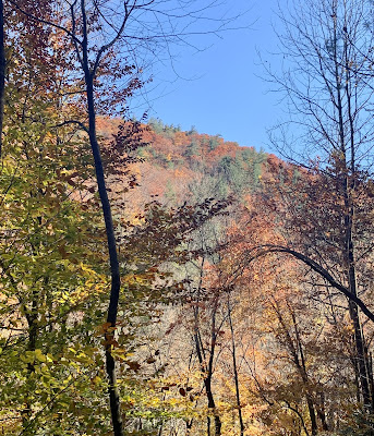 A view of a mountain from the trail. Color leaves and pine tree dot the mountain.