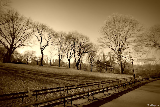 Central park-New York