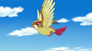 Pidgeot, Imagem