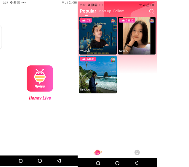 Honey Live APK for Android