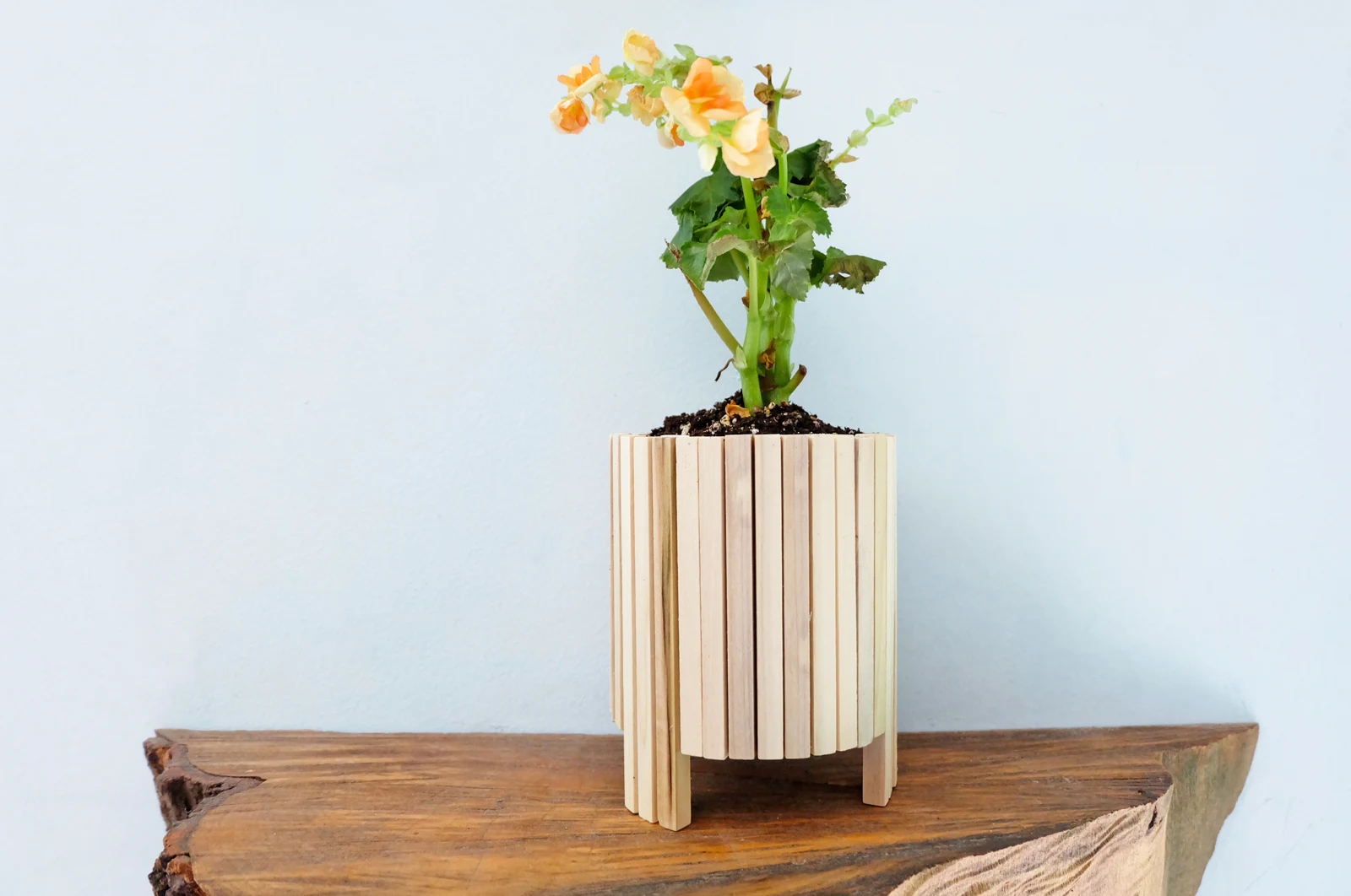 paint can planter with dowels