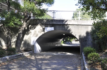 DSC 0171