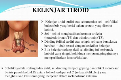 Pengertian Penyakit Tiroid