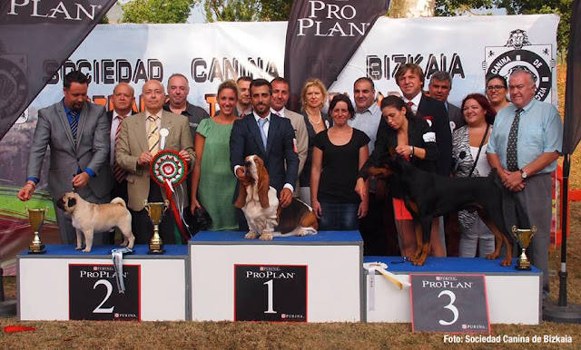 Sociedad Canina de Bizkaia