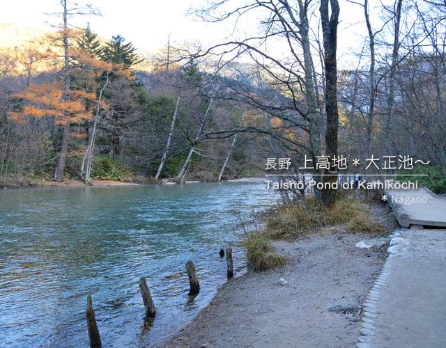 [初冬の上高地] 大正池から河童橋までの風景