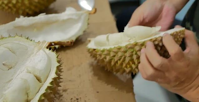 Durian lokal Pandeglang - Buah Durian Khas Pandeglang yang Manis dan Aromatik