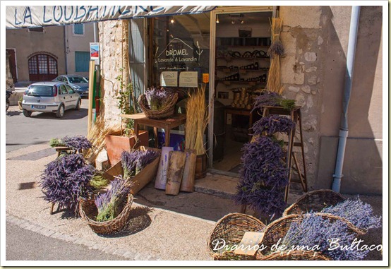 Mont Ventoux-23