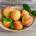 Manfaat Jus Buah Peach bagi Kesehatan, Penuh Nutrisi!