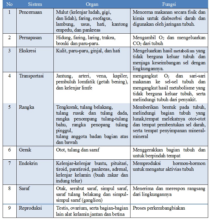 nr C SISTEM ORGAN 