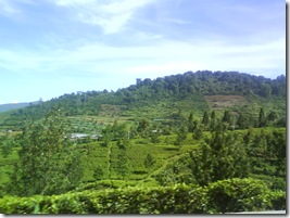 DSC03099