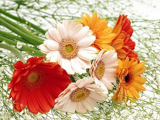 New Year Flowers Gifts Wishes Pictures