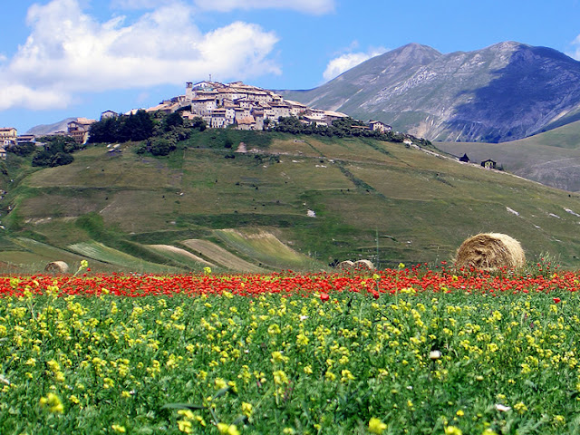 Castelluccio Valmaggiore - Italy