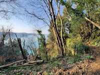 via francigena del sud da nemi a castel gandolfo