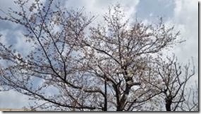 clip_image006