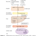 Vitamines liposolubles (A, D, E et K)