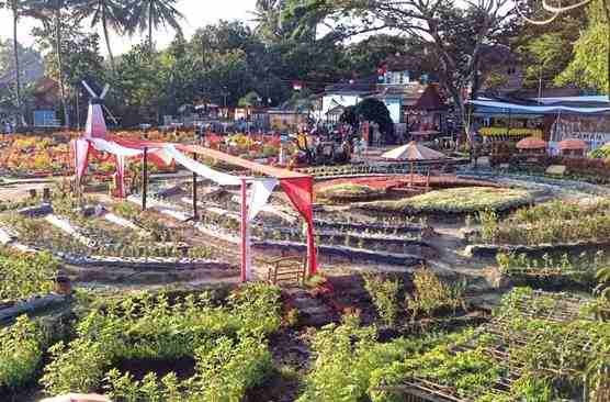 Magelang, Jawa Tengah - Sawah Kakung di Magelang telah menjadi magnet baru bagi wisatawan yang ingin mencari pengalaman agrowisata yang unik-wisata, kuliner, kolam ikan, rumah makan, apa tu bioflok, Ngawi