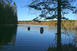 Trout Brook Pond