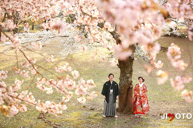 奈良の桜で前撮りロケーション撮影