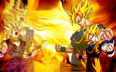 #15 Dragon Ball Wallpaper