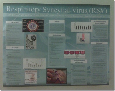final poster