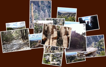 View album