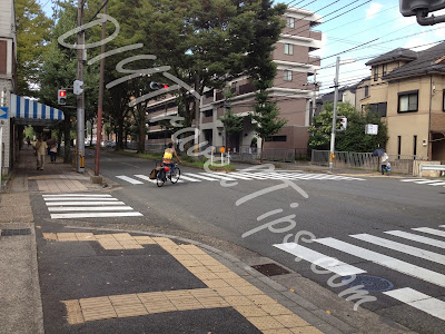 Traffic Junction along Shirakawa St