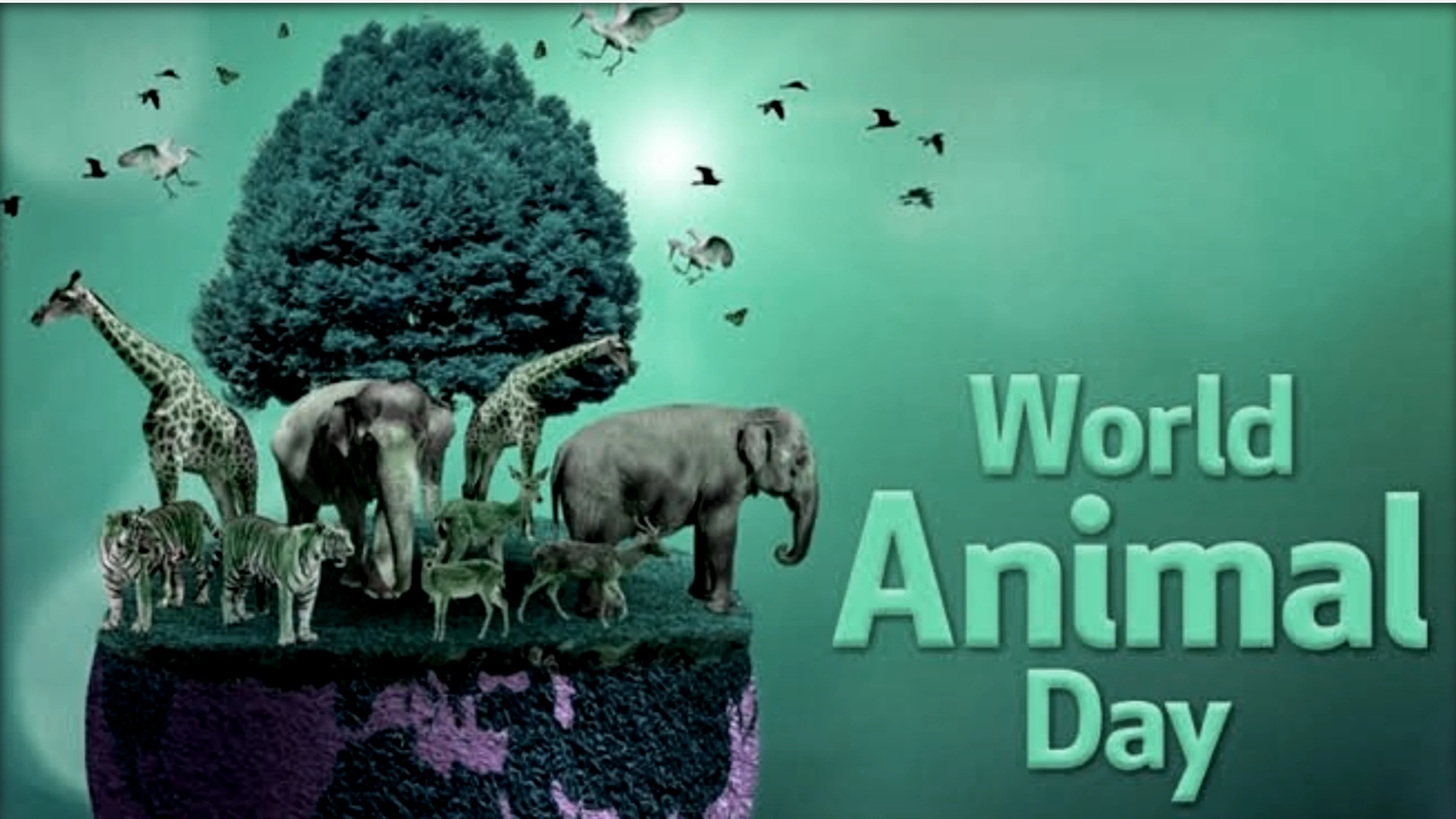 Animal Welfare Day :What can humans do to save animals from natural disasters?