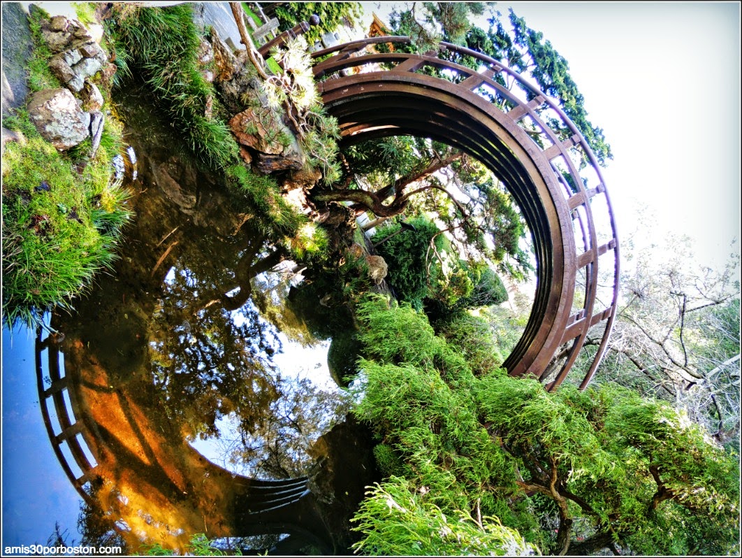 Puente Luna, Japanese Tea Garden: San Francisco