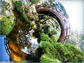 Puente Luna, Japanese Tea Garden: San Francisco