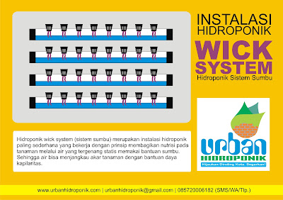 urban hidroponik, jasa hidroponik, pelatihan hidroponik