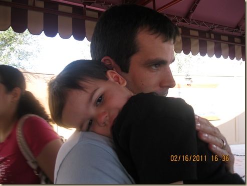 Picture 338
