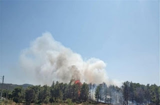 Ηλεία: Υπό μερικό έλεγχο τέθηκε η πυρκαγιά στην Τρυπητή