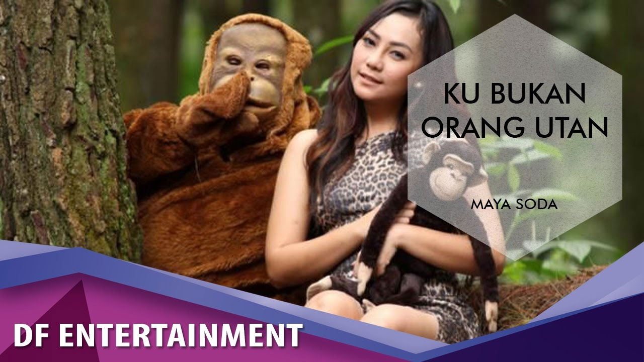 Maya Soda Ku Bukan Orang Utan