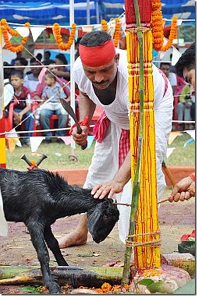 puja-scrifice250