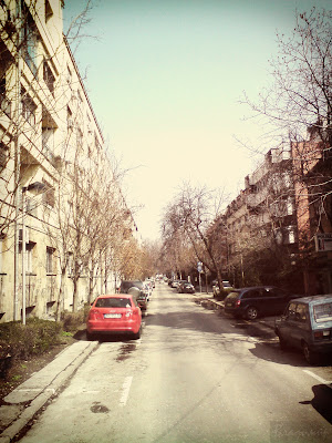 novi sad, centar, slike, street